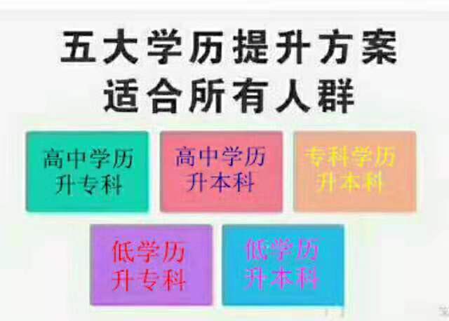 正规本科学历财务管理专业招生 学信网终身可查