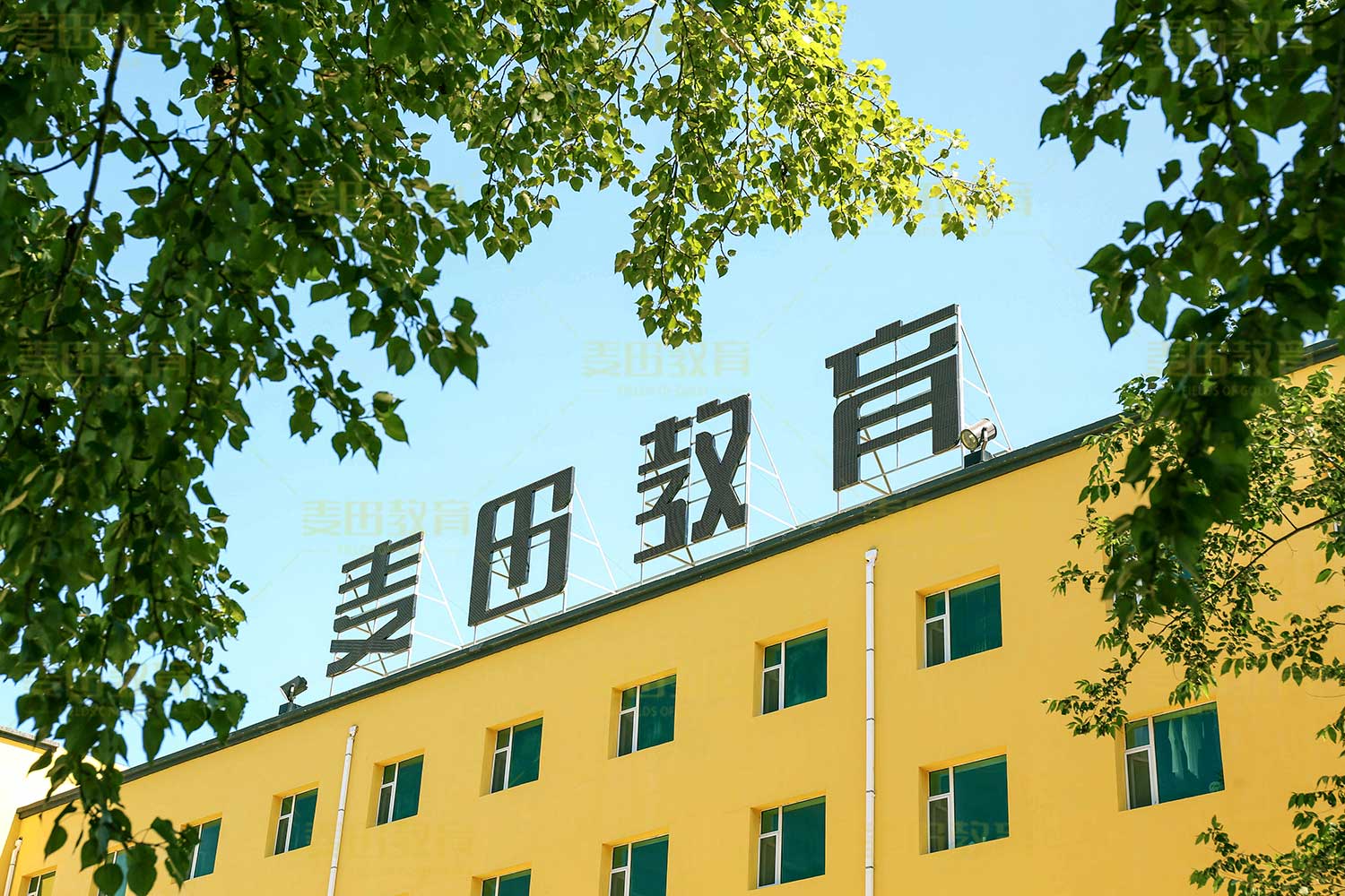 长春艺考生高考文化课补习学校